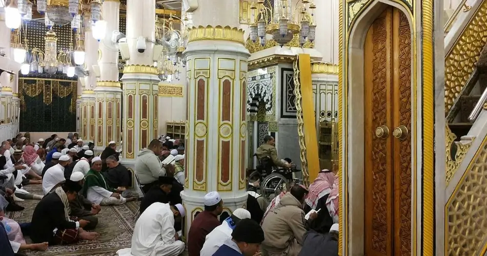 Size, Identification, and Physical Features